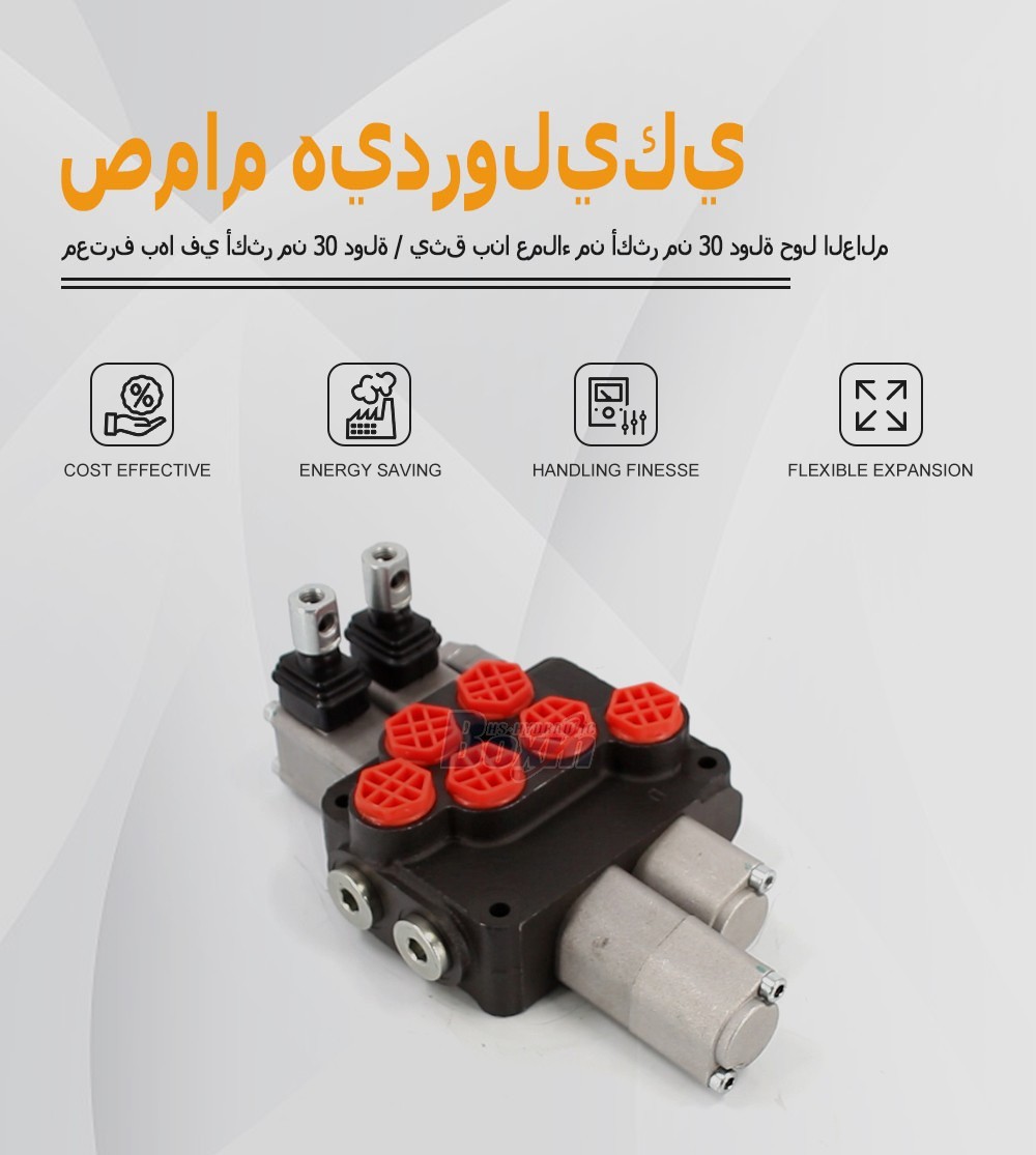 Strategic Cooperation Opportunities for DCV20 2 Spool Hydraulic Valve Distribution and Trading