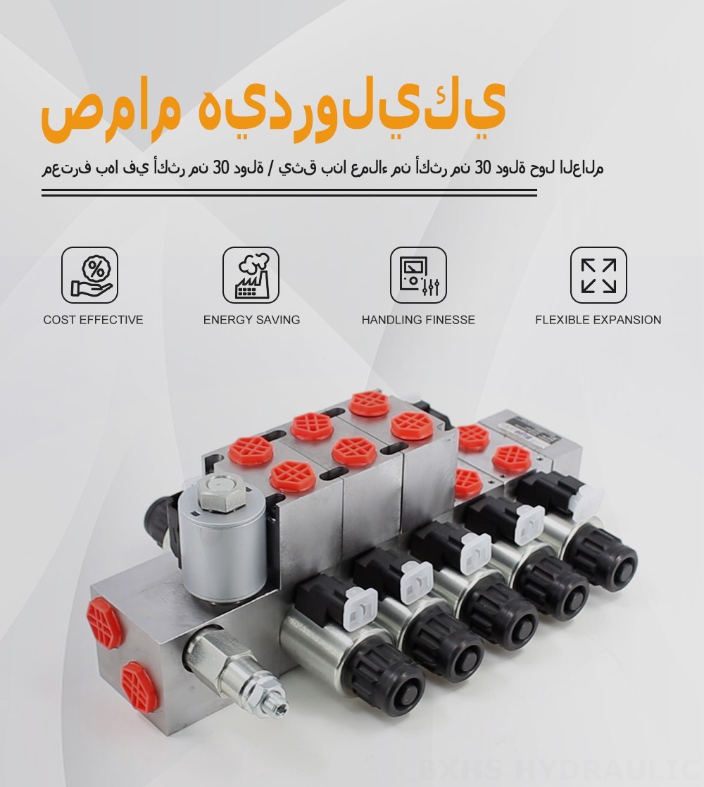 DCV56 كهربائي متناسب صمام 5 صمام اتجاهي قطاع