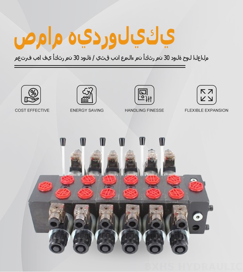 DCV58 ملف لولبي صمام 6 صمام اتجاهي قطاع