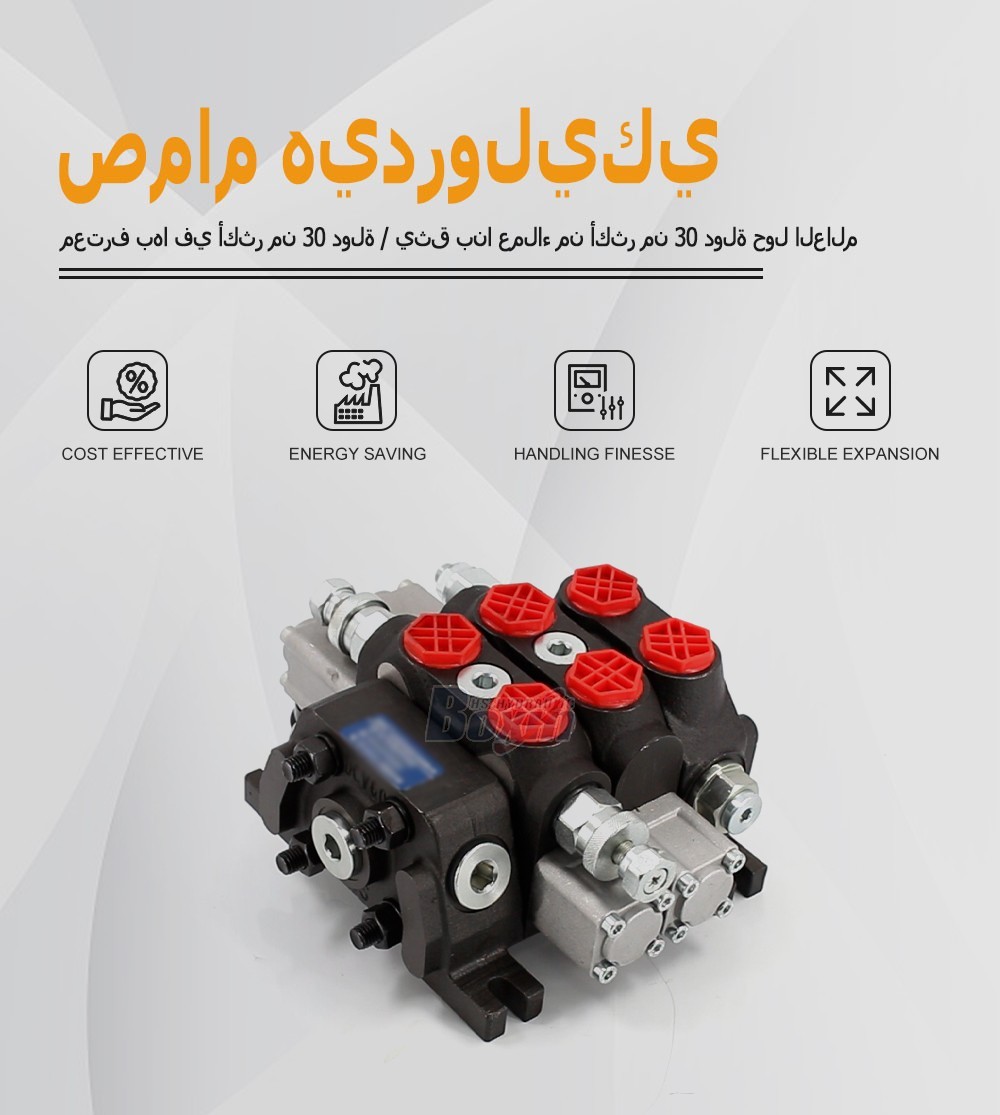 Sectional Control Valve DCV60-FZJ 2 Spool Manual Directional Control Valve
