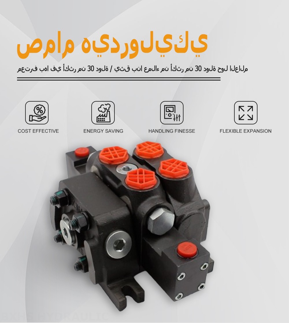 DCV60-G34 هيدروليكي صمام 1 صمام اتجاهي قطاع