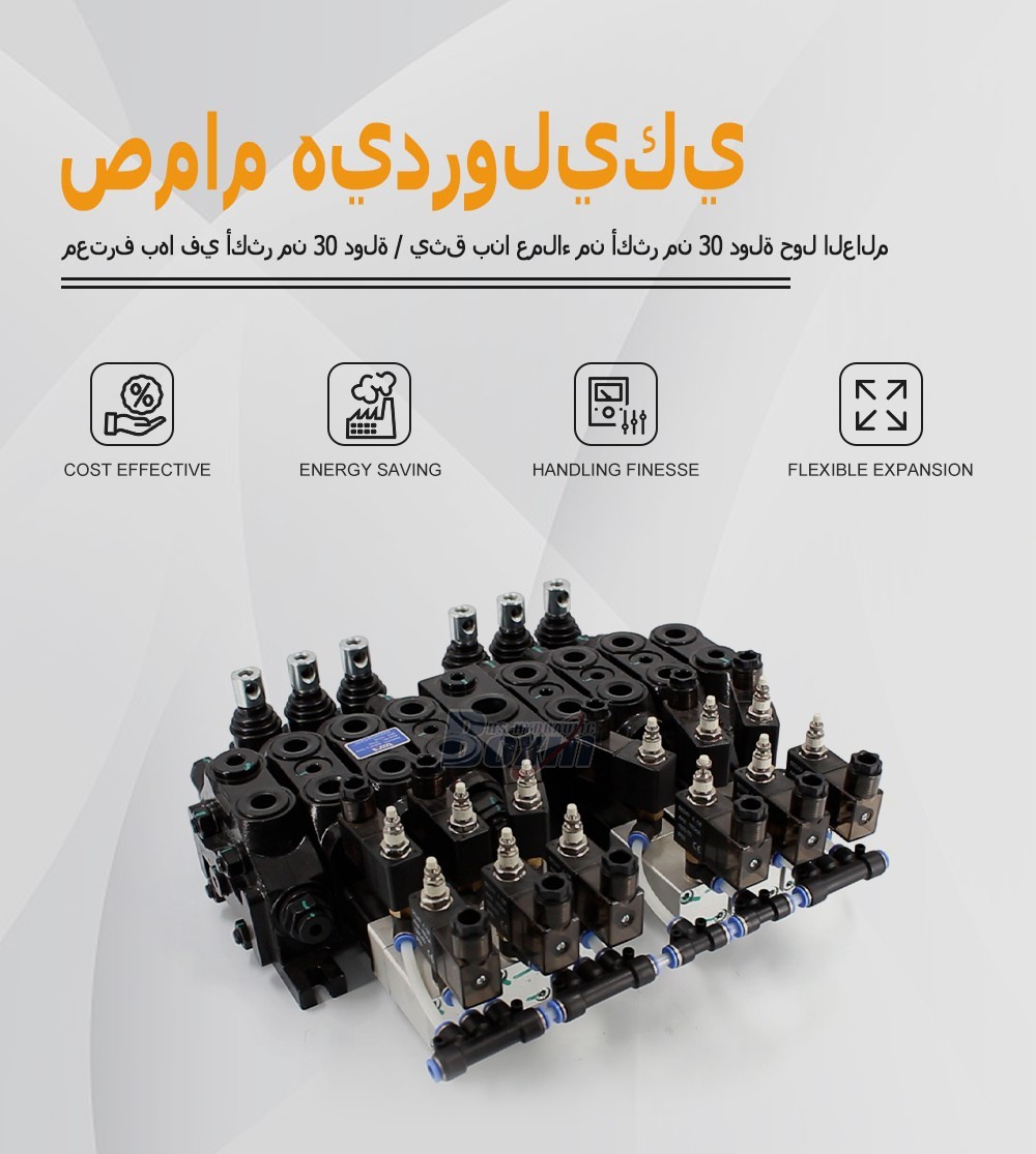 Seeking Global Distributors and Wholesalers for DCV60 6 Spool Valves
