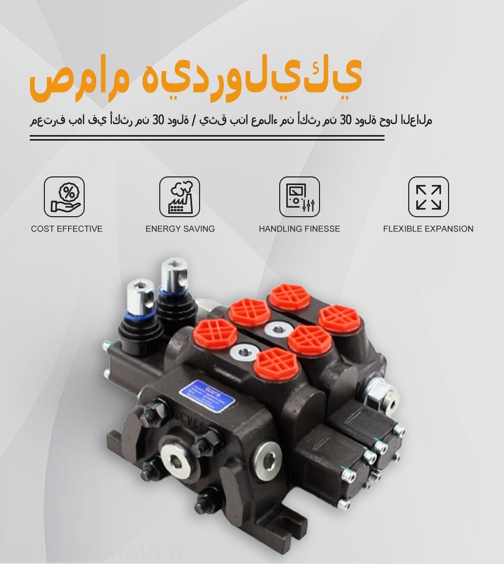 DCV60 يدوي صمام 2 صمام اتجاهي قطاع