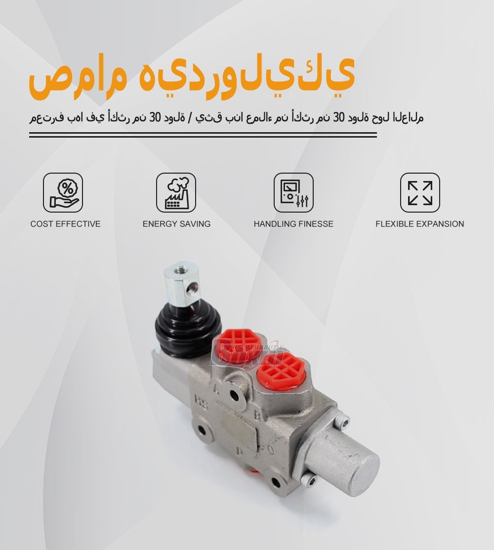 Industrial DF5-DKL 1 Spool Multi-Way Manual Flow Control Valve