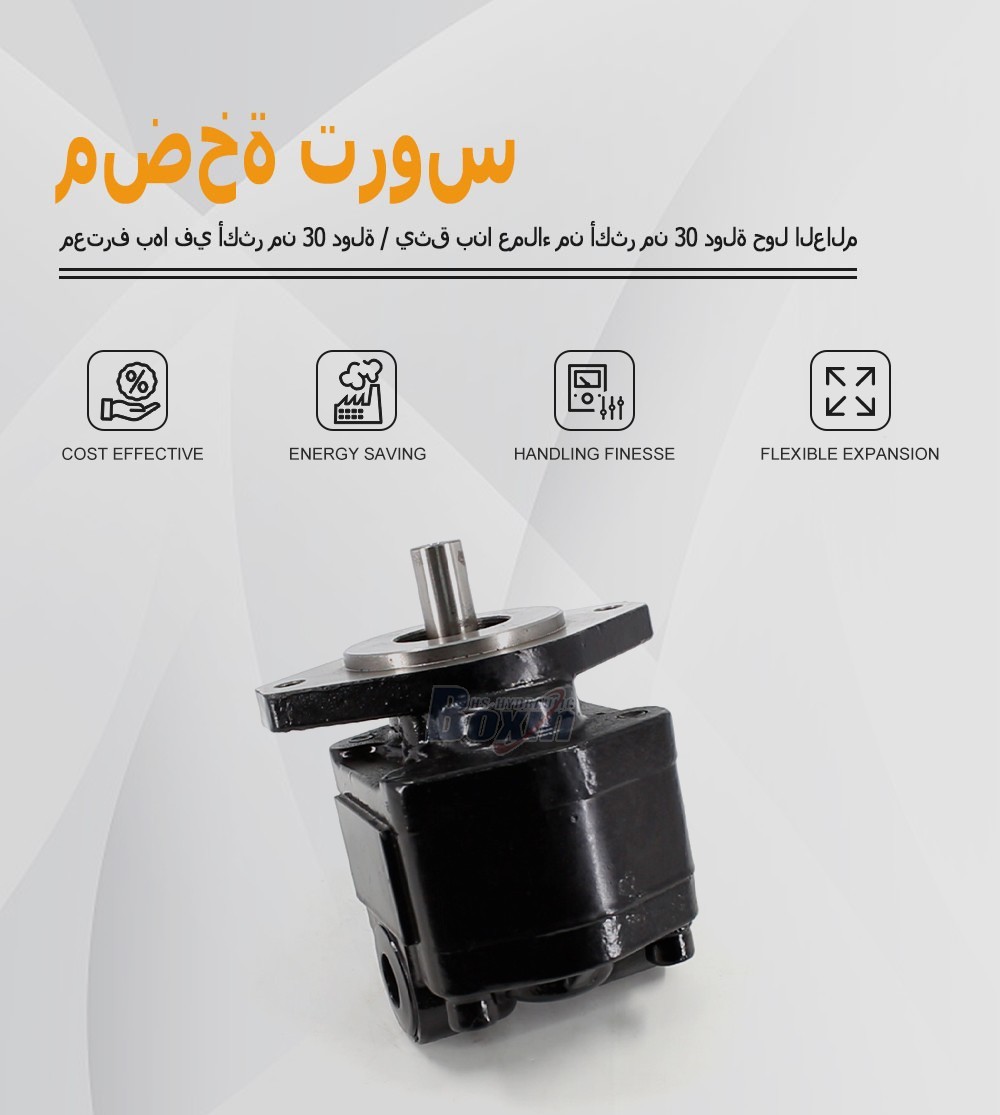 High Performance CBHS-FC25 Hydraulic External Gear Pump 25cc