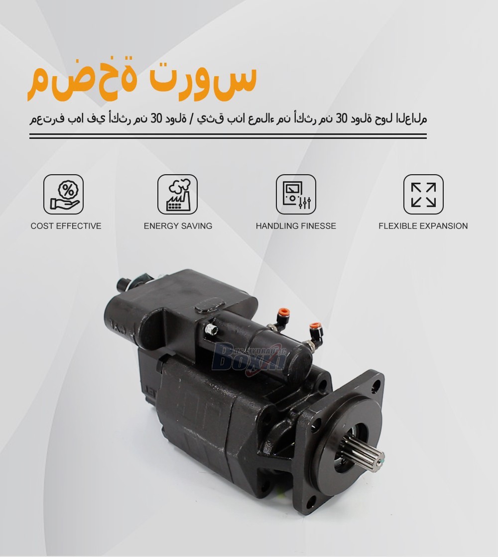 Custom OEM ODM Service for G102-AS 63 cc/rev Hydraulic Gear Pump with Private Labeling