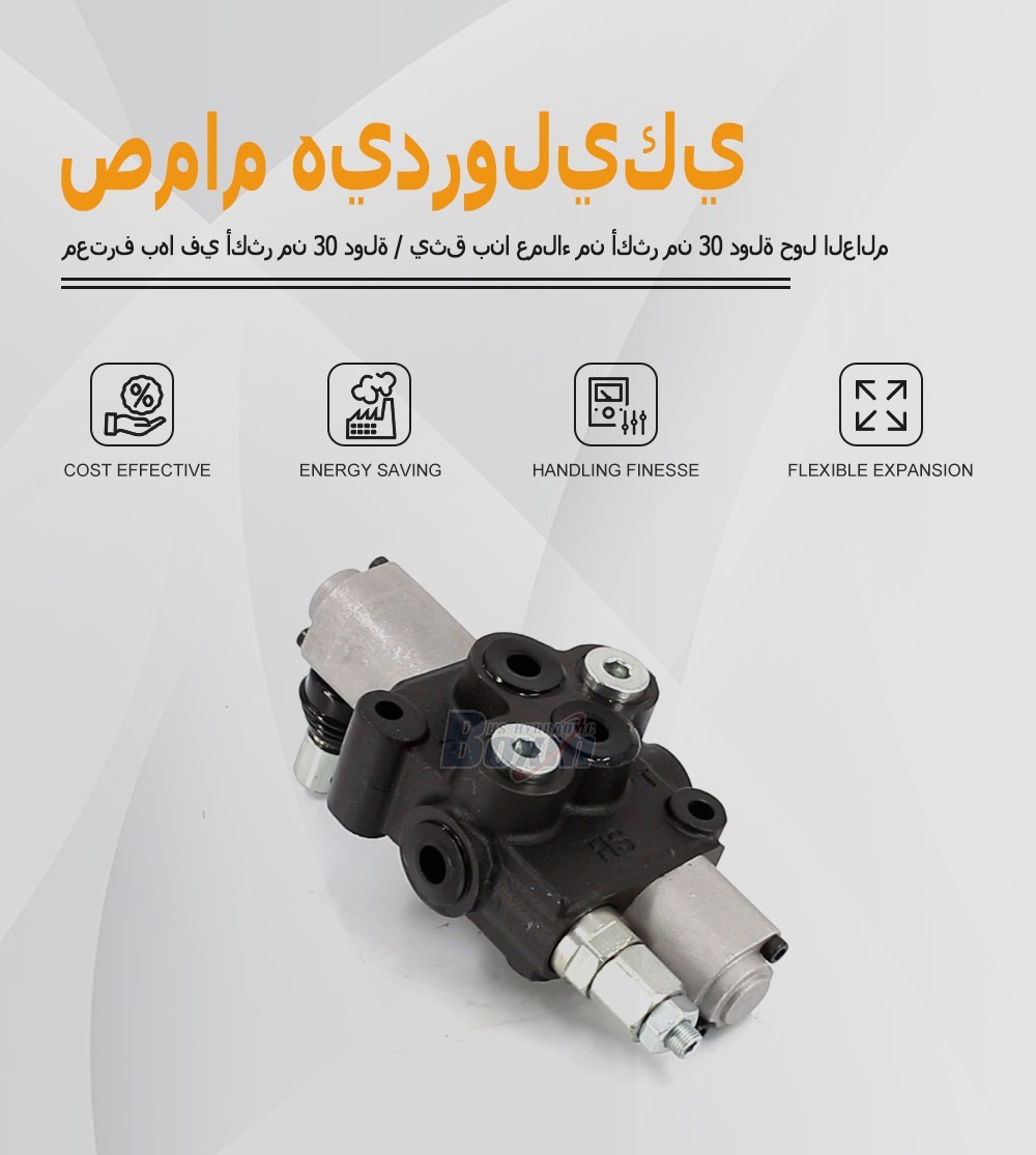Manual Operated HS45-FZJ 1 Spool Monoblock Valve for Fluid Power