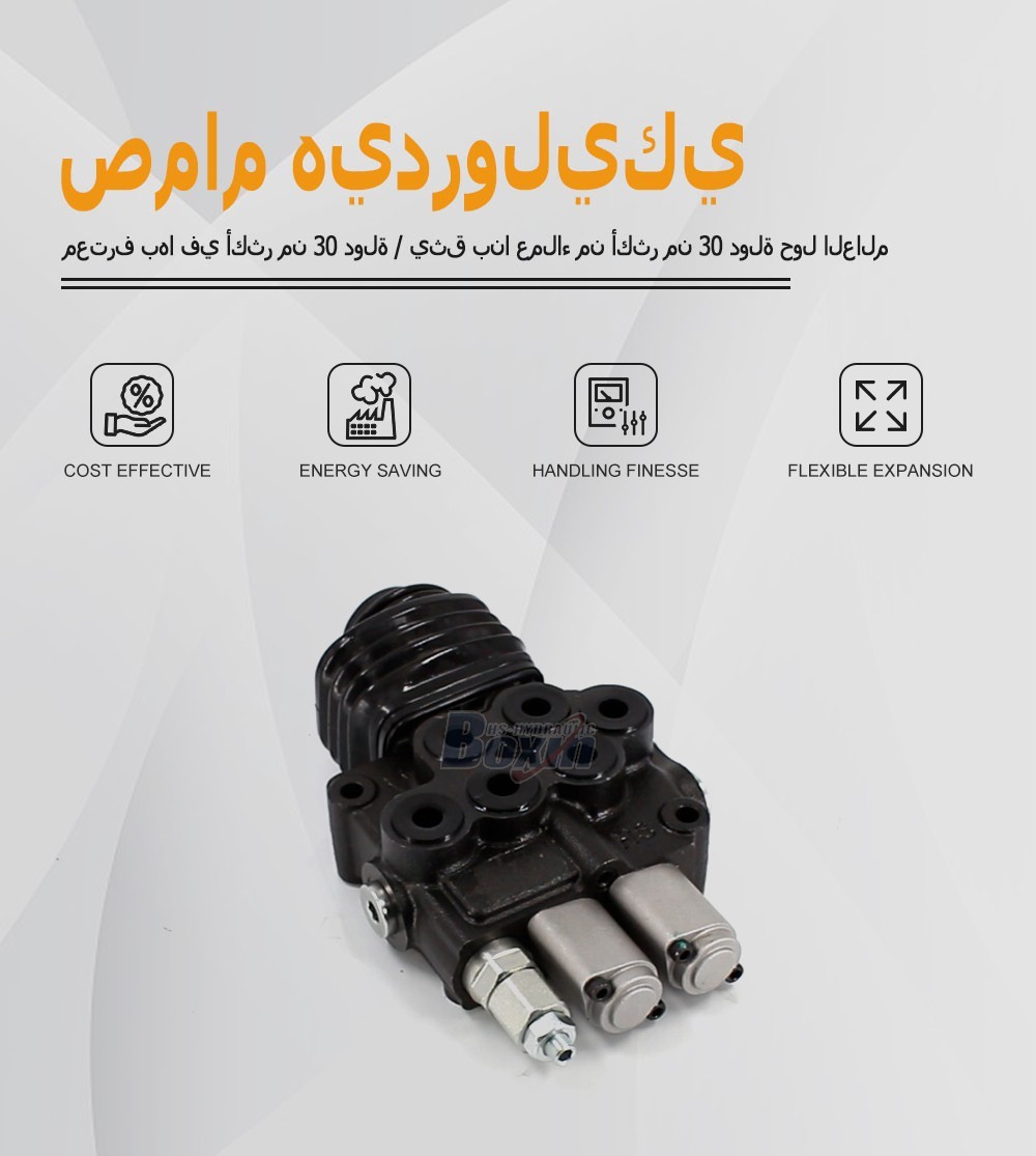 Professional HS45 Joystick 2 Spool Directional Valve for Machinery