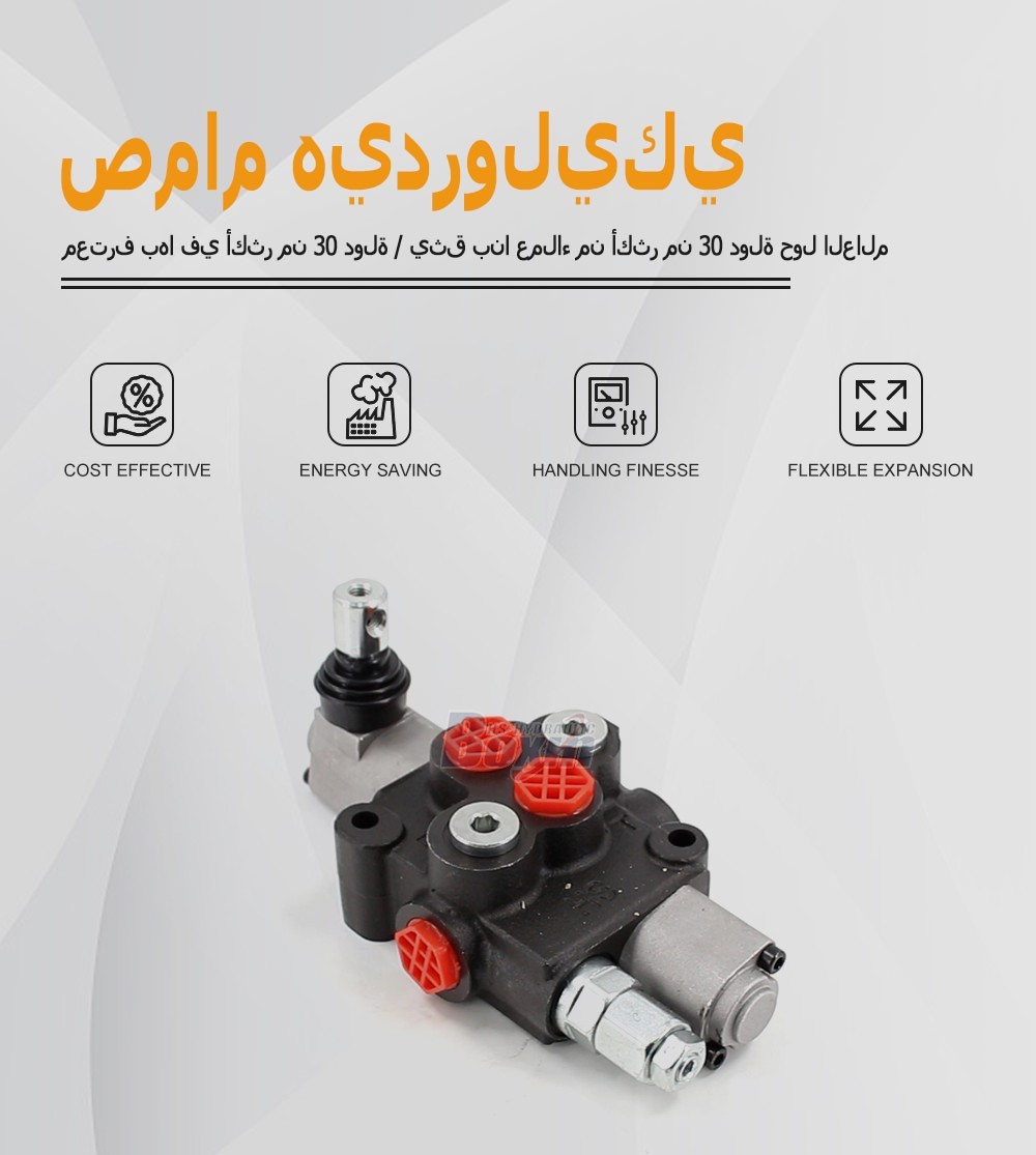 Long-term Strategic Partnership for HS45 Manual 1 Spool Monoblock Valve Distribution