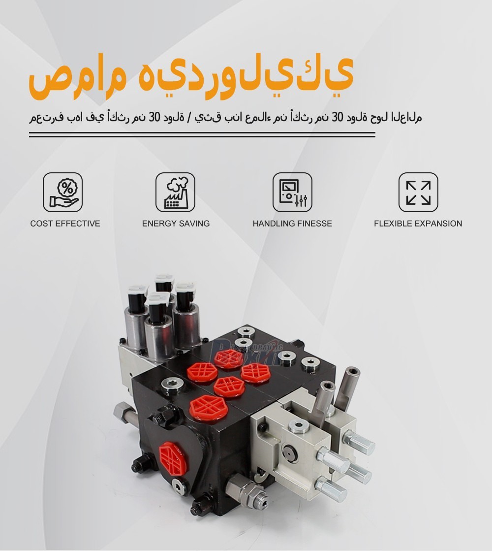 Manufacturer Source: HSDPX100DY-2 Electro-hydraulic Sectional Valve Bulk Supply