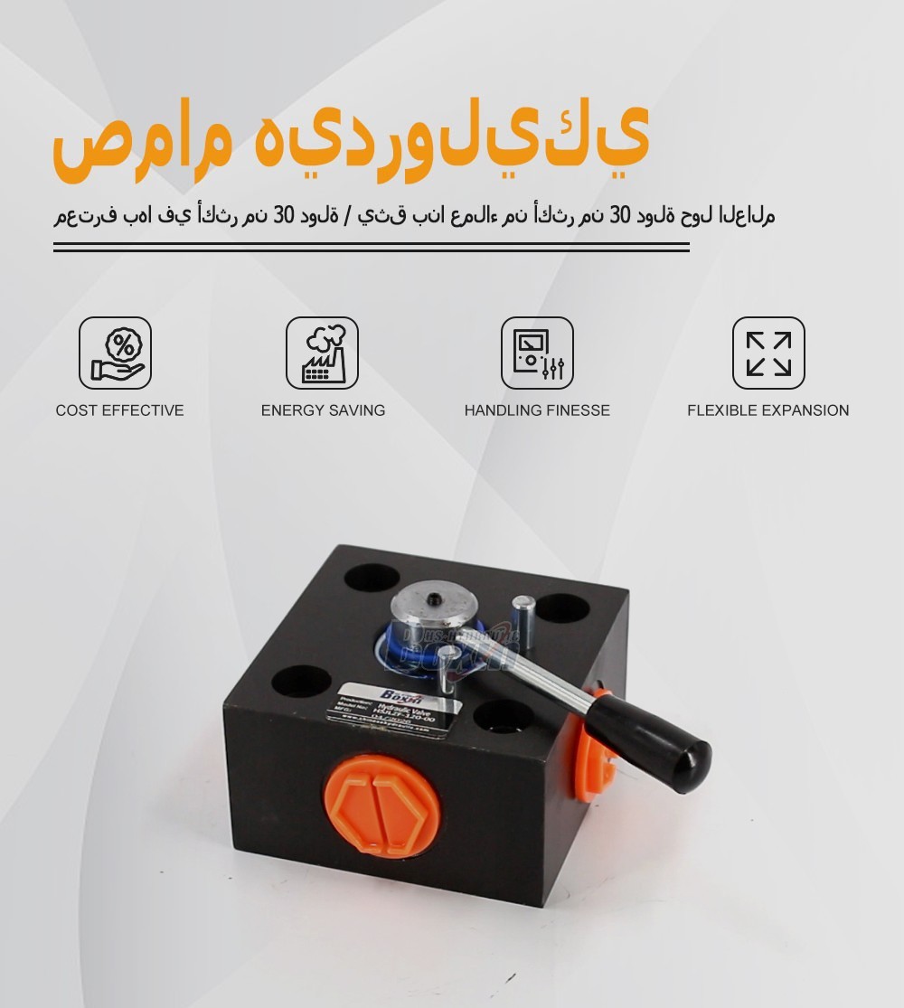 HSJLZF-120 Series Monoblock Directional Control Valve 1 Spool Manual Type