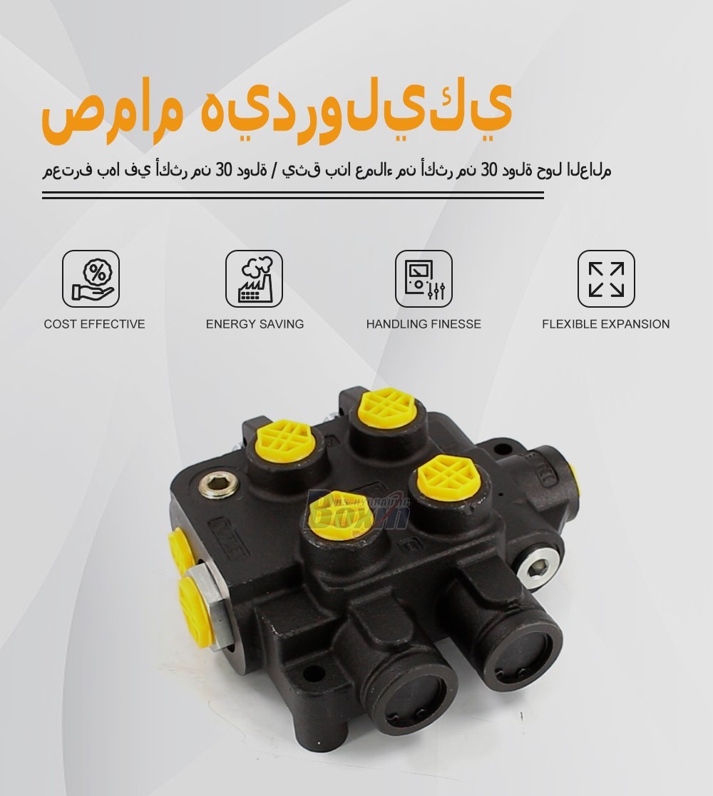 Global Partnership Opportunities for HSSP-2OT-J 2 Spool Hydraulic Valves