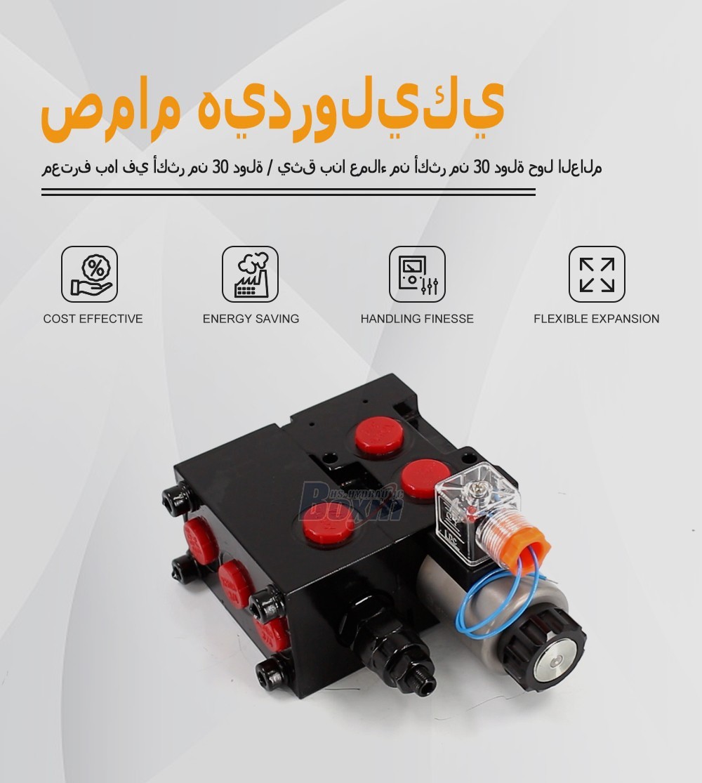 High Performance HSV06-AQF Solenoid Flow Diverter Valve 2 Spool