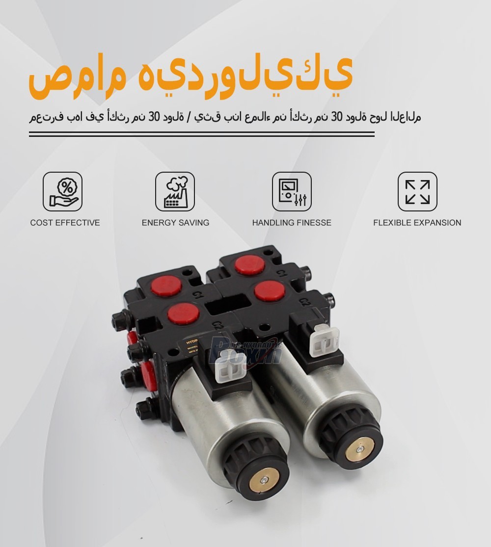 High Performance HSV09 Solenoid Hydraulic Directional Control Valve