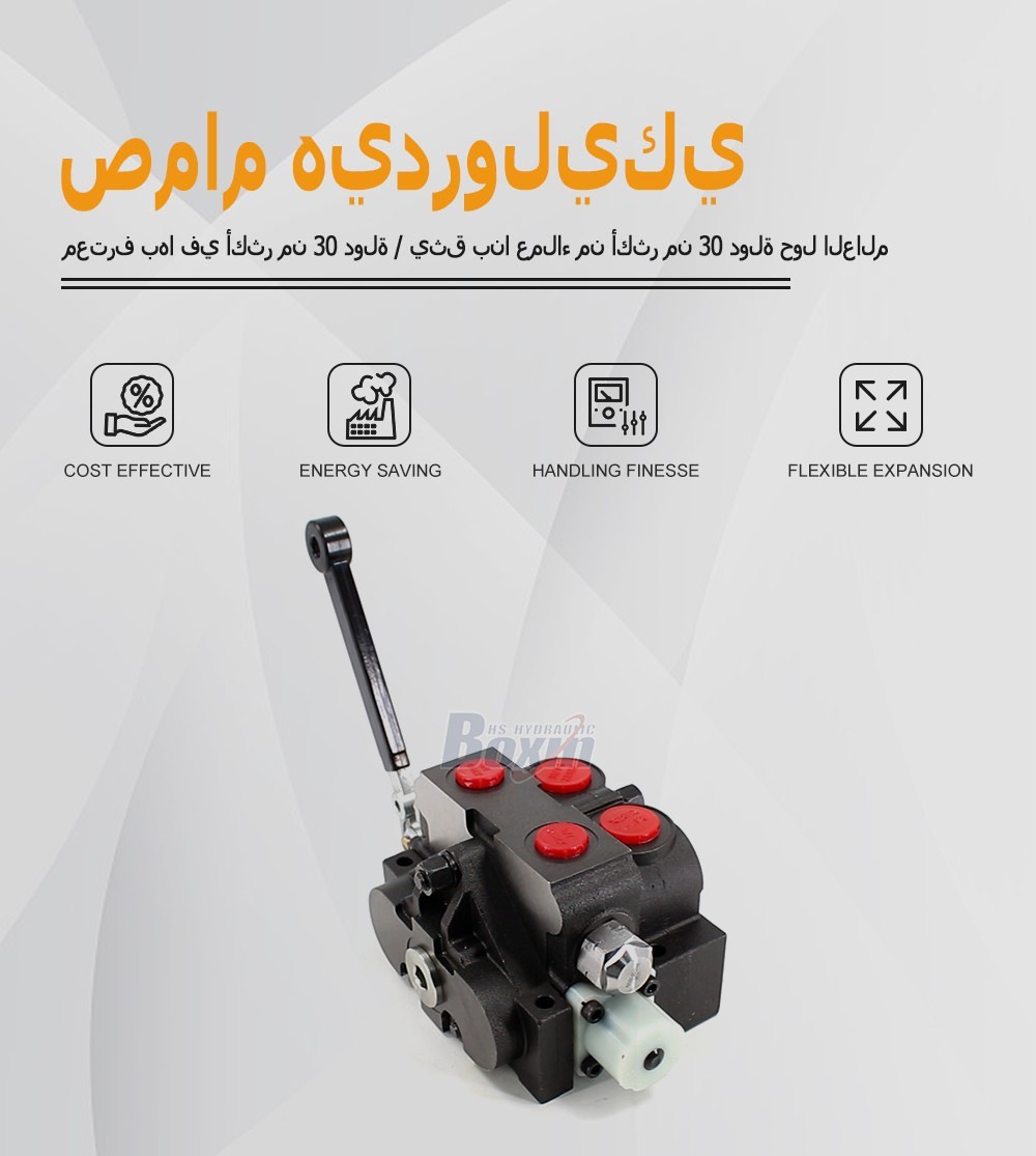 High Performance HSV20 Manual Sectional Control Valve 1 Spool