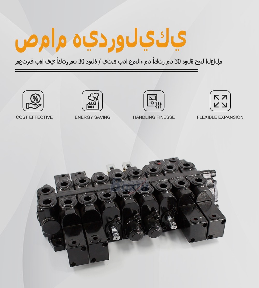 HSW50 Series 8 Spool Monoblock Control Valve for Hydraulic Systems