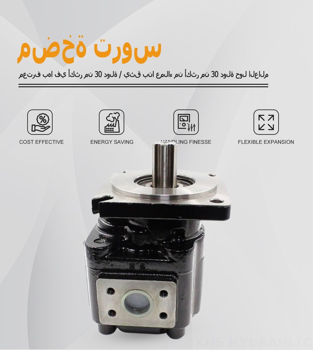JHP2063 63 سم مكعب/لفة مضخة التروس الهيدروليكية