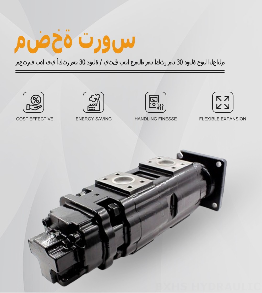 JHP2080-2080-1016 80 سم مكعب/لفة مضخة التروس الهيدروليكية