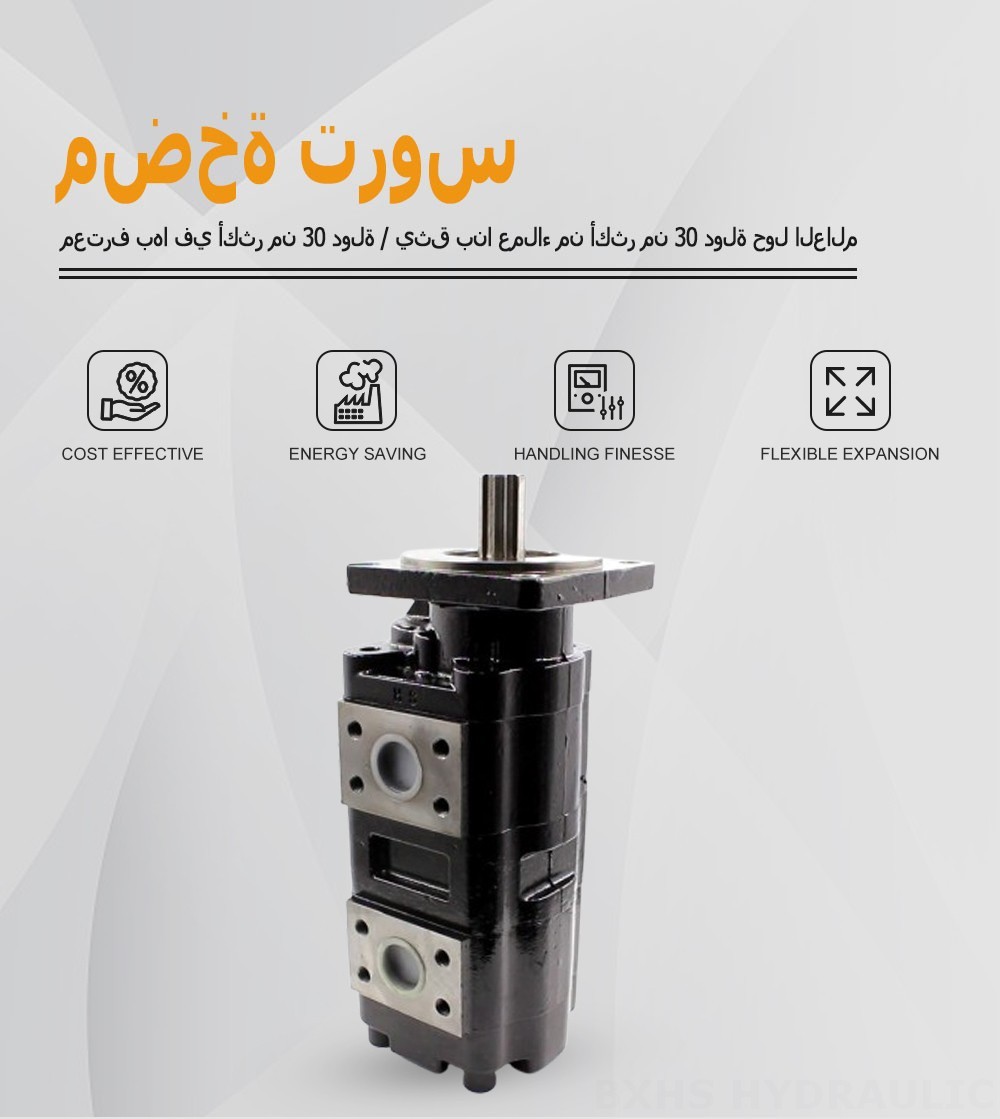 JHP2080-2080 80 سم مكعب/لفة مضخة التروس الهيدروليكية