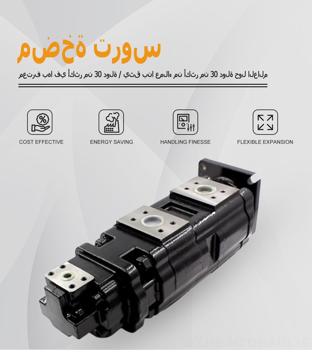 JHP2100-2080-1016 100 سم مكعب/لفة مضخة التروس الهيدروليكية