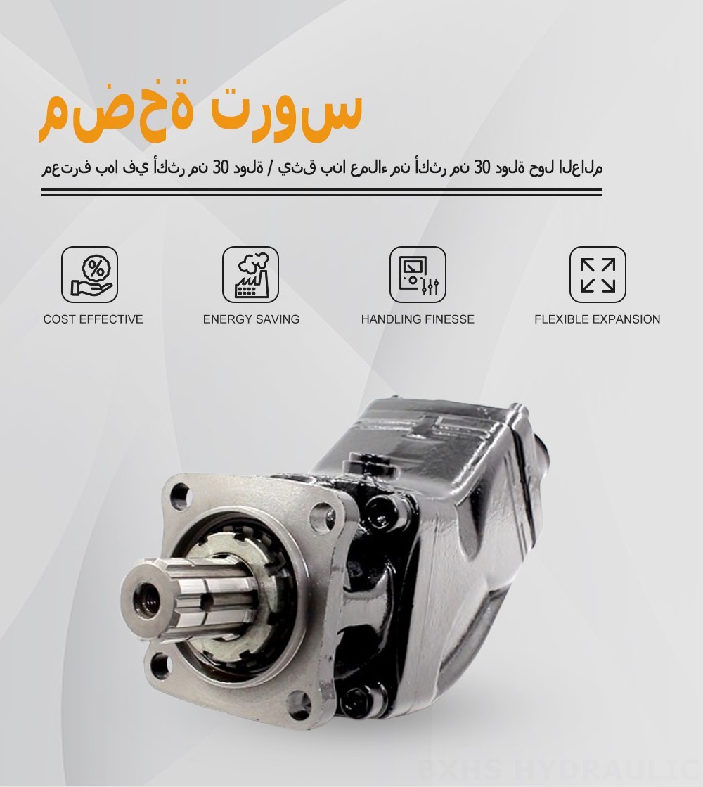LB-63 63 سم مكعب/لفة مضخة المكبس الهيدروليكية