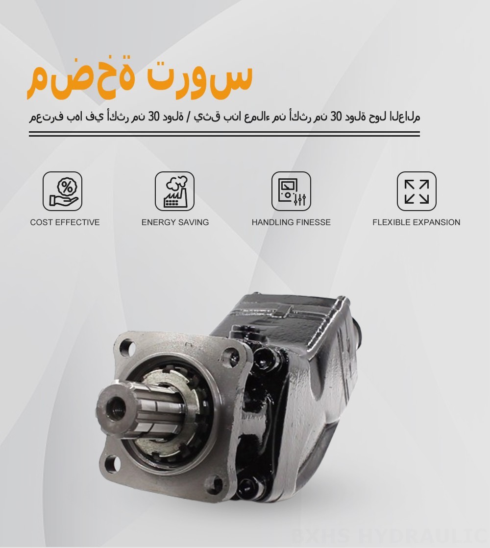 LB-80 80 سم مكعب/لفة مضخة المكبس الهيدروليكية