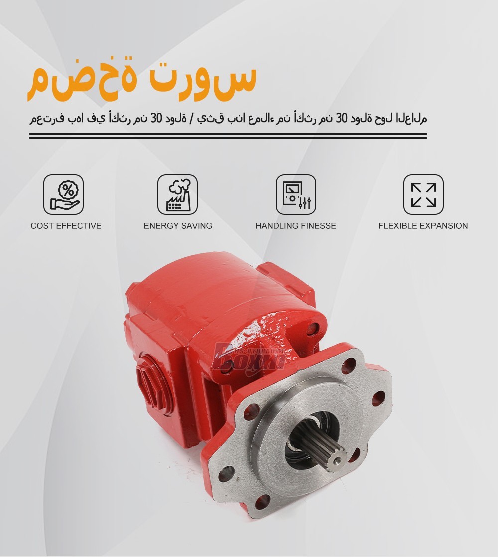 High Performance P21A646JEAL20-25-H 64.6 cc/rev Hydraulic Gear Pump Supply