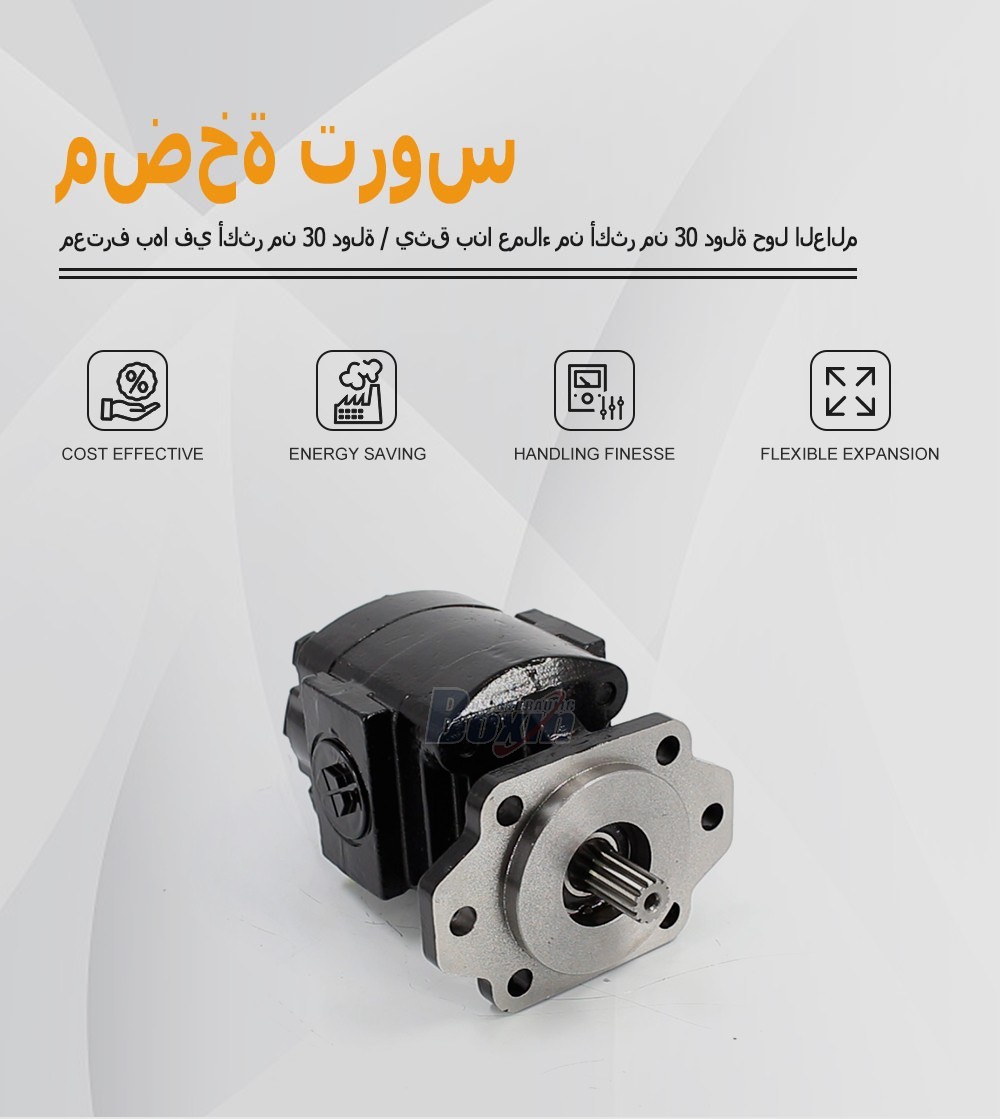 P21A646JEAL20-25 64.6 cc/rev Hydraulic Gear Pump for Industrial Machinery