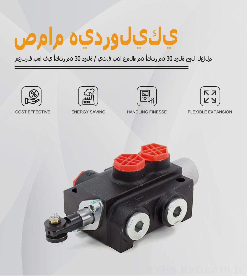 P40-201 يدوي صمام 1 صمام اتجاهي أحادي الكتلة