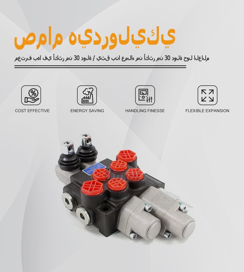 P40 Series 2 Spool Manual Directional Control Valve