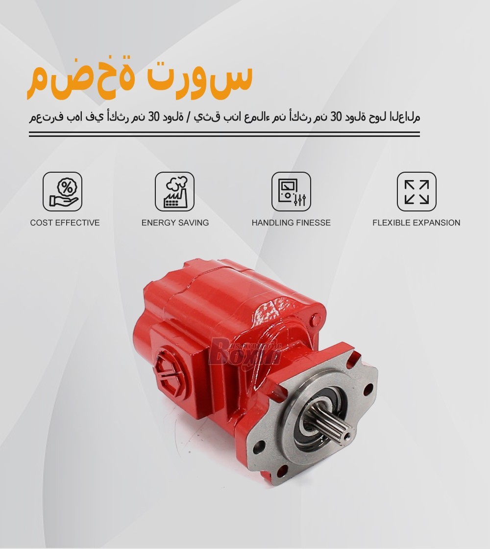 Custom OEM/ODM Service for P51A646TEYR25-25-H 104.5 cc/rev Hydraulic Gear Pump with Private Labeling
