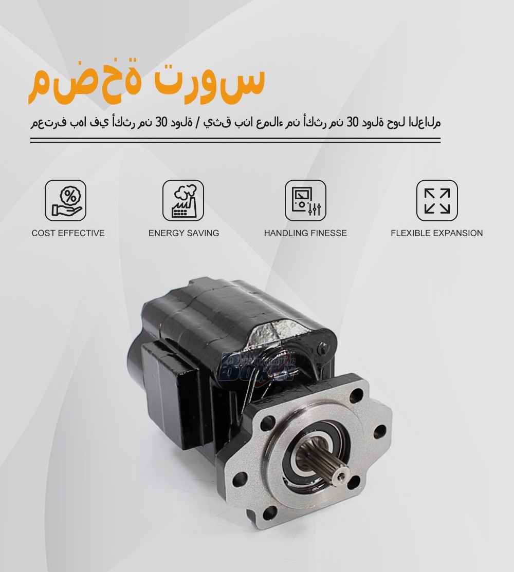 P51A646TEYR25-25 Hydraulic Pump Direct from Large Scale Factory