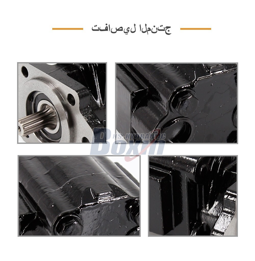 P51A646TEYR25-25 Hydraulic Pump Direct from Large Scale Factory