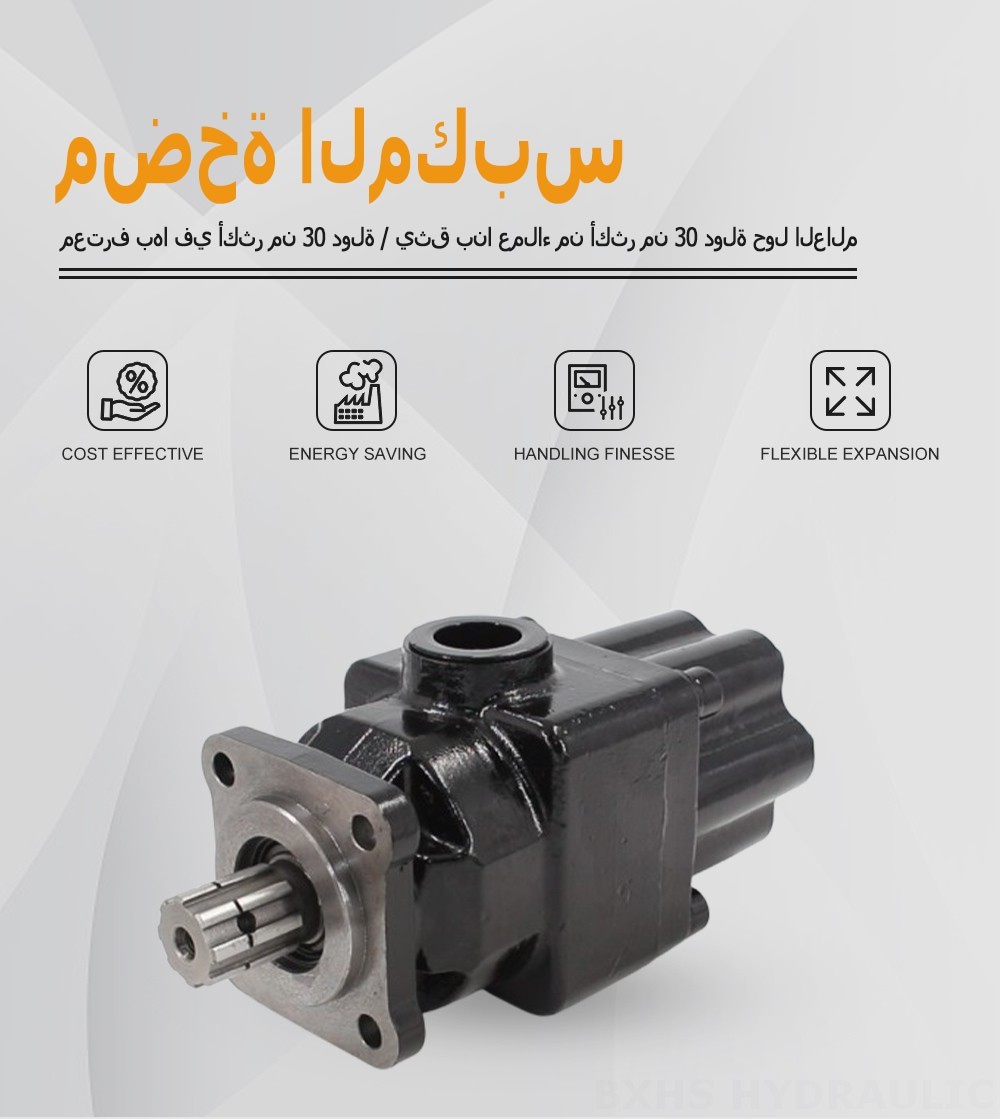 P6-40 40 سم مكعب/لفة مضخة المكبس الهيدروليكية