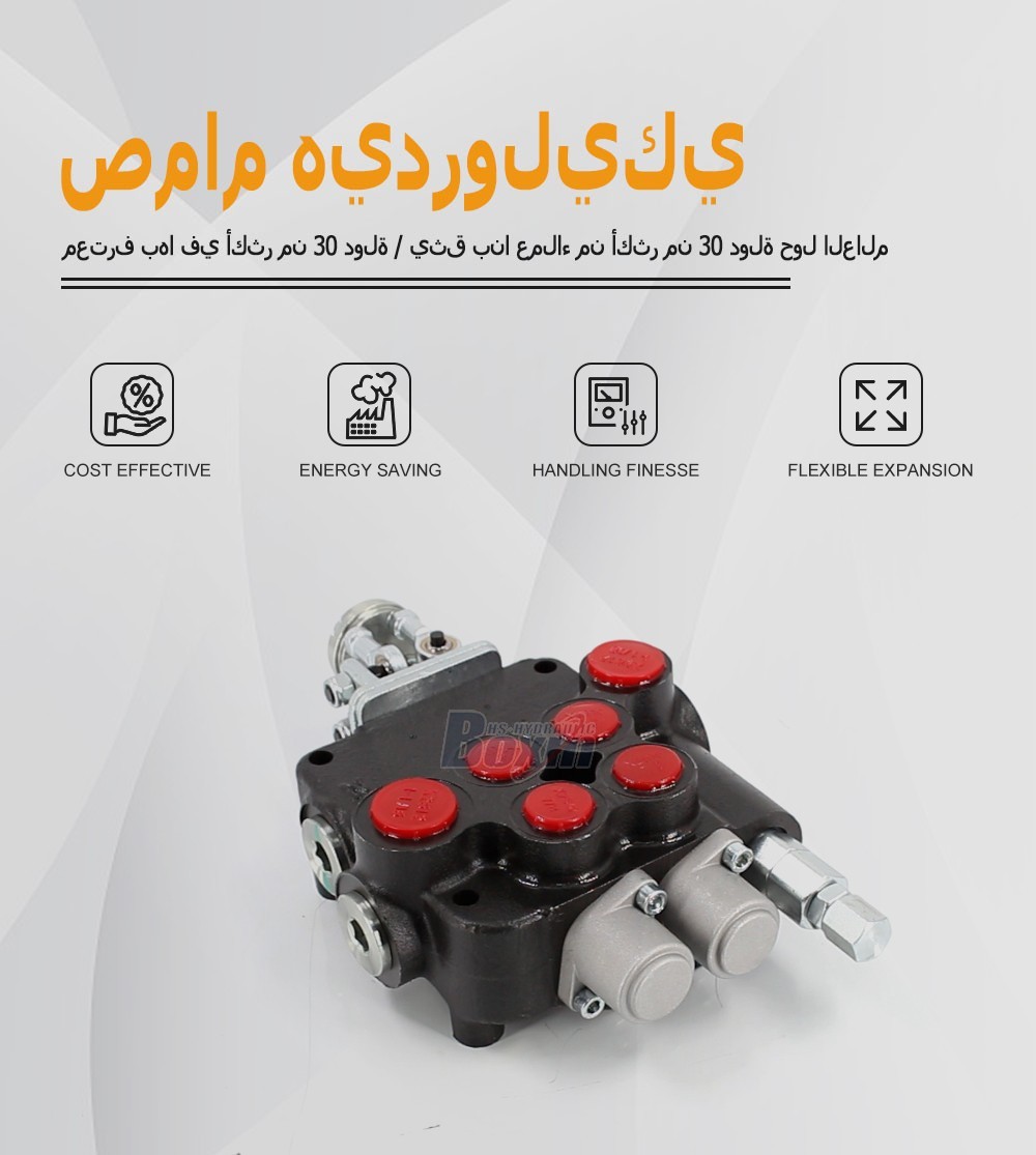 Direct From Factory P80-U1-J2OT 2 Spool Directional Valve Wholesale