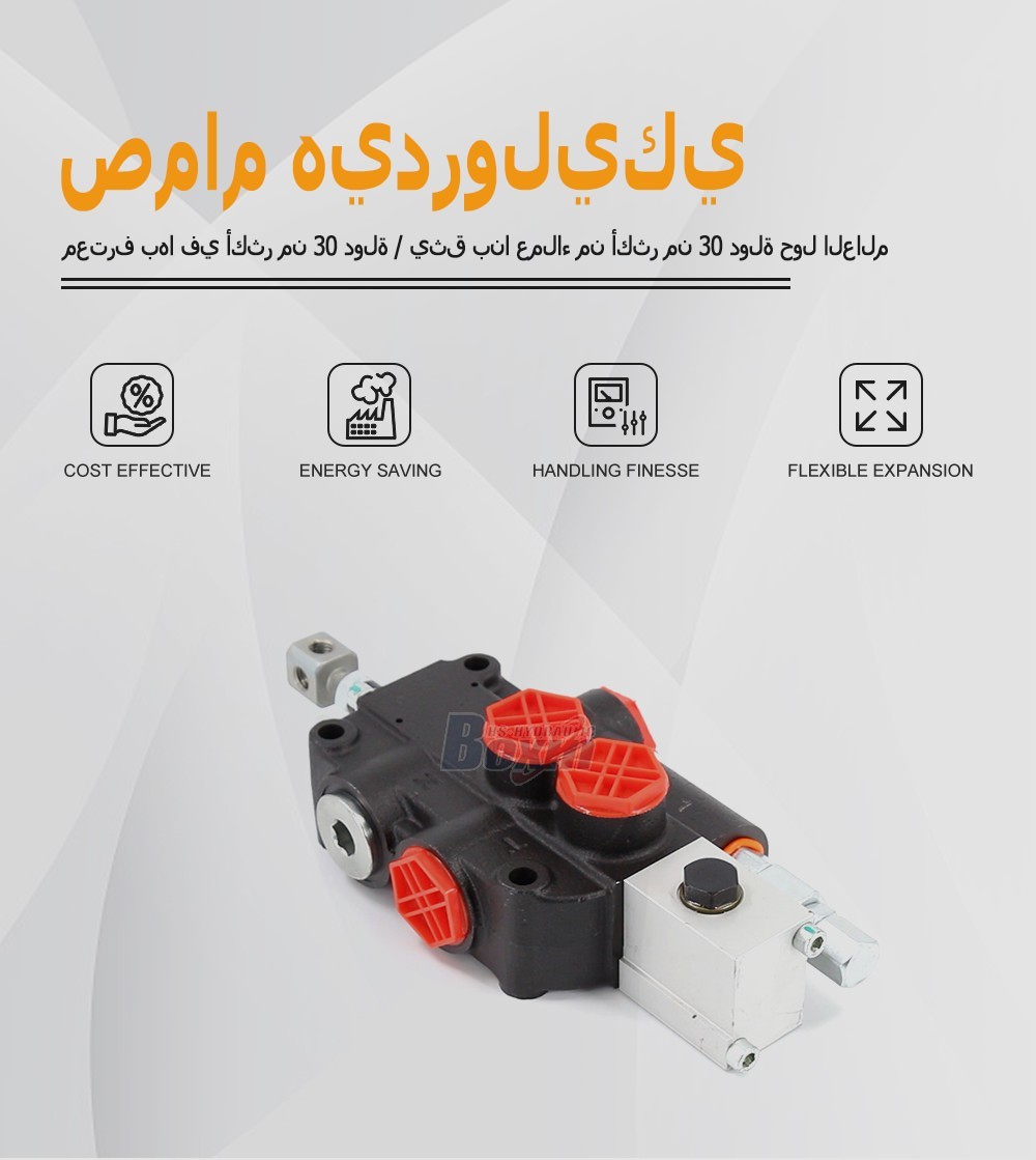 P80A-OX 1 Spool Monoblock Directional Valve for Heavy Machinery