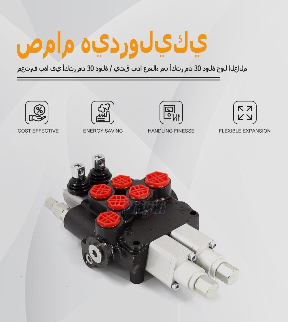 High Performance P80AFT-2QTW1 Monoblock Valve 2 Spool Control Valve