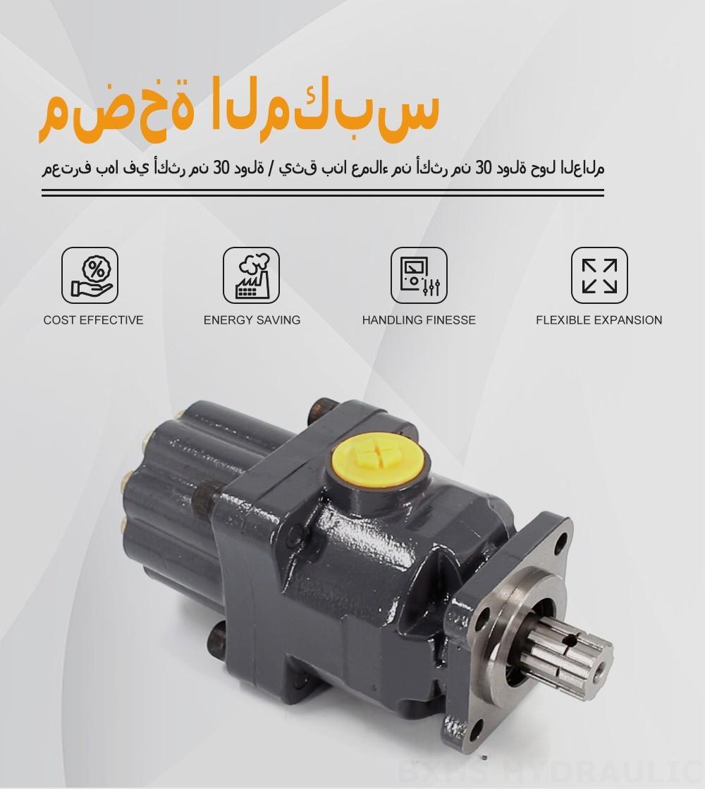 P9-80-H 80 سم مكعب/لفة 20 ميجا باسكال (2900 رطل لكل بوصة مربعة) مضخة المكبس الهيدروليكية
