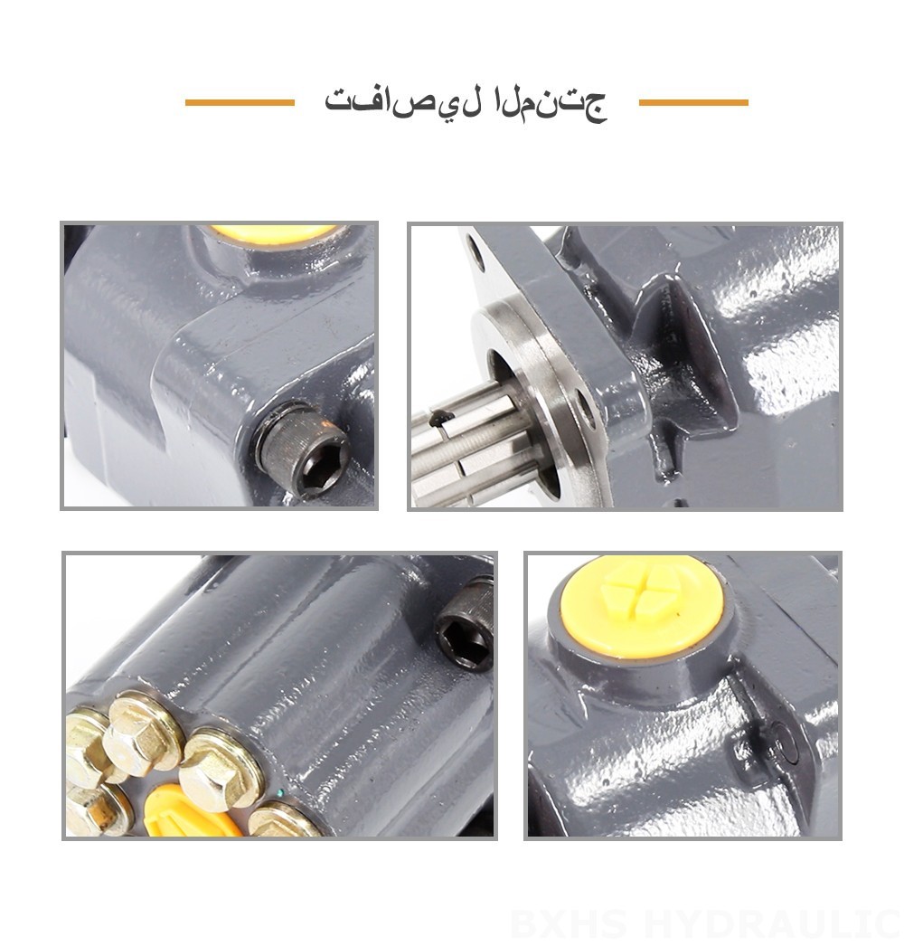 P9-80-H 80 سم مكعب/لفة 20 ميجا باسكال (2900 رطل لكل بوصة مربعة) مضخة المكبس الهيدروليكية