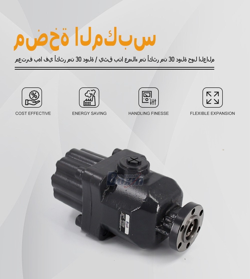 Seeking Global Distributors and Wholesalers for P9-80SK 80cc Hydraulic Piston Pump