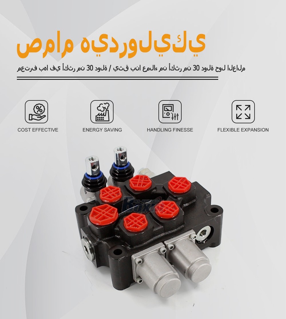 Q75 Manual 2 Spool Monoblock Valve for Mobile Hydraulics