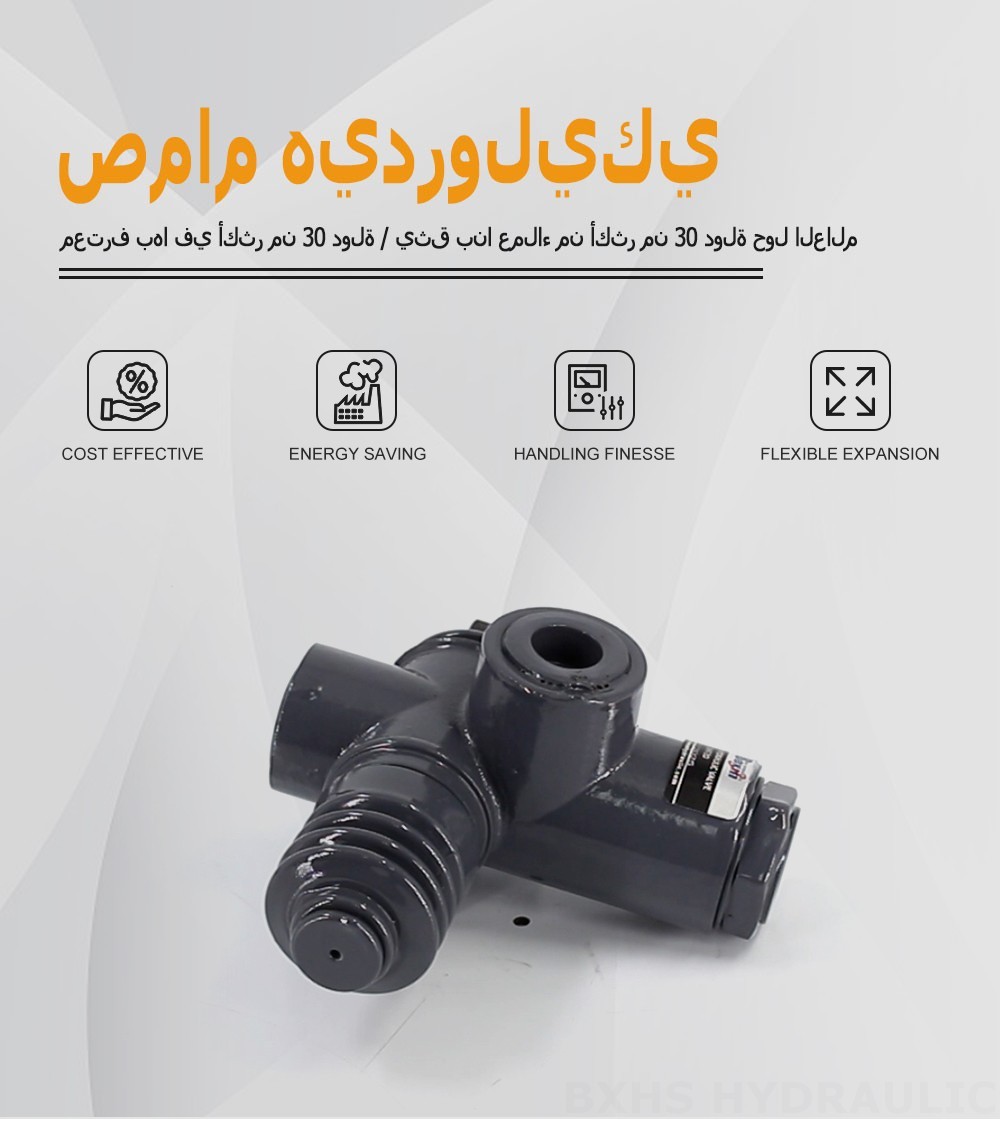 QHF20  يدوي صمام 1 صمام اتجاهي أحادي الكتلة