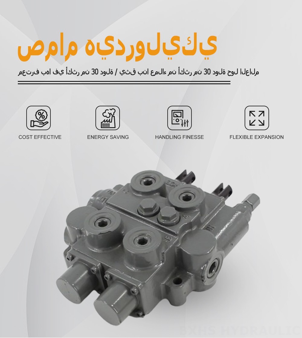 RD5200-H يدوي صمام 2 صمام التحكم الهيدروليكي
