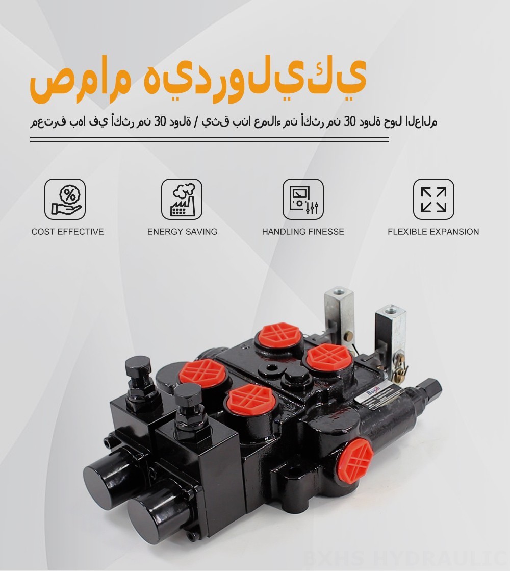 RD5200-OU2 يدوي صمام 2 صمام التحكم الهيدروليكي
