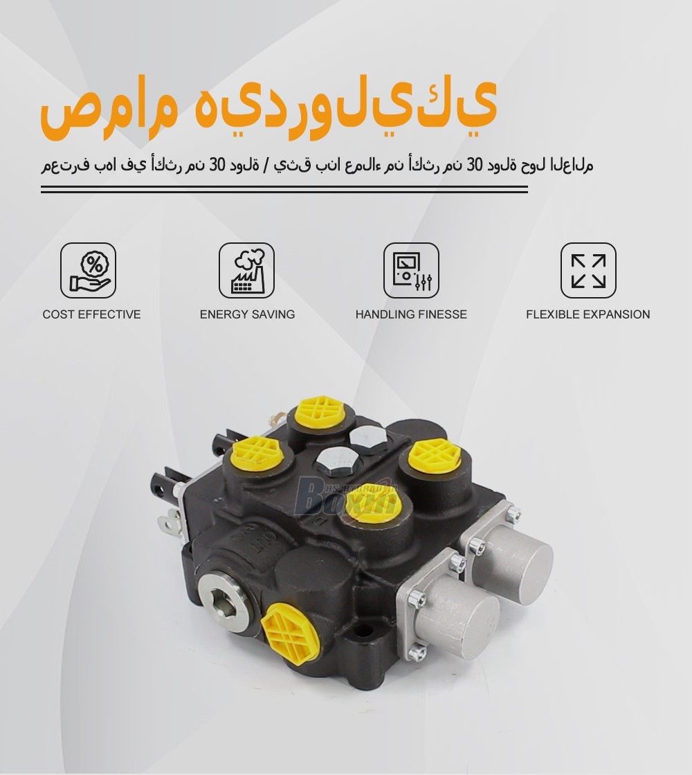 High Performance RD5200NPT-2OT 2 Spool Directional Control Valve