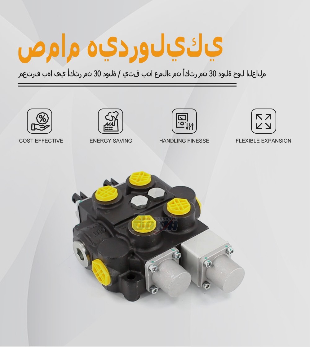 Industrial Grade RD5200NPT-QTW-OT Manual Hydraulic Valve with NPT Ports