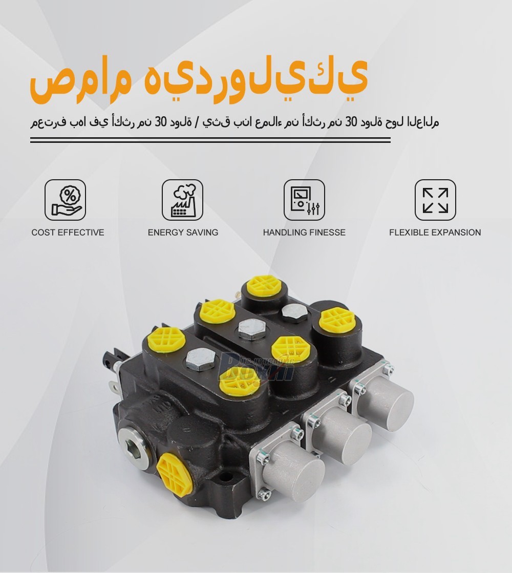 Factory Source RD5300NPT-3OT 3 Spool Manual Hydraulic Valve for Global Market