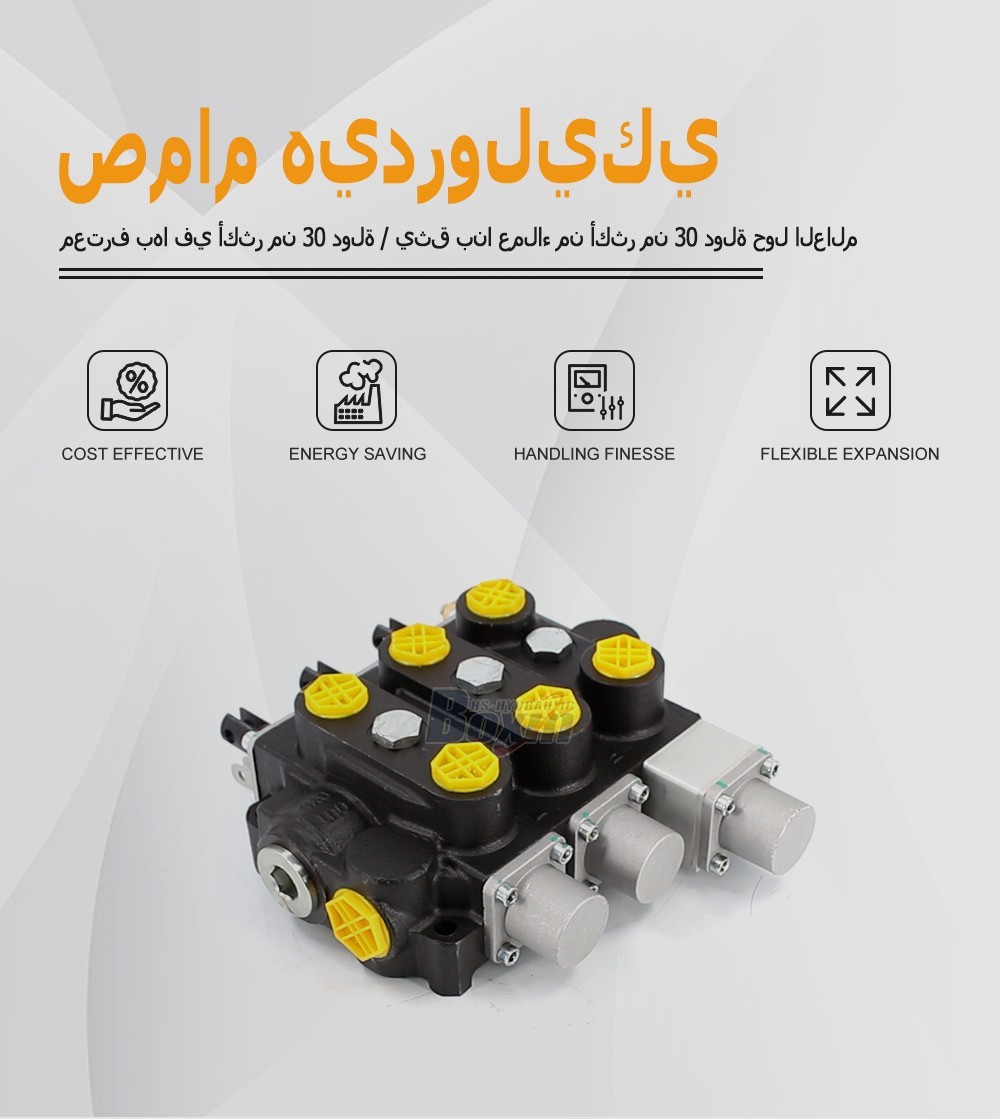 Strategic Partnership Opportunity for RD5300NPT-QTW-2OT Hydraulic Valve Distribution