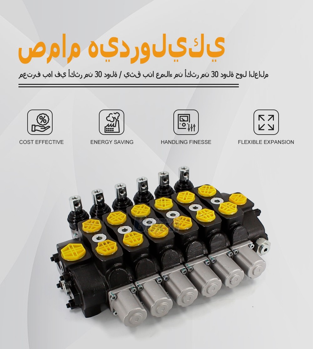 SD8 Series 6 Spool Hydraulic Sectional Control Valve