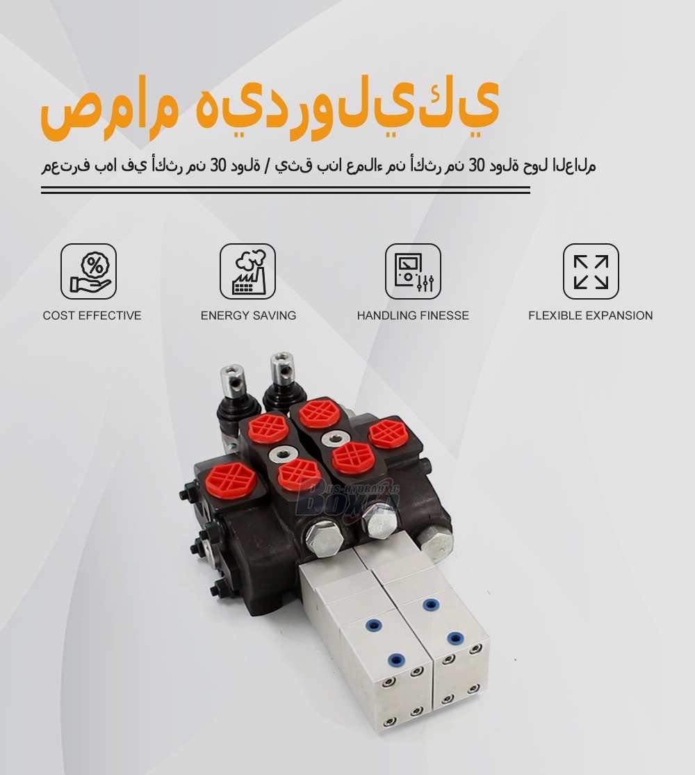 Professional Production SD8 Pneumatic 2 Spool Sectional Control Valve